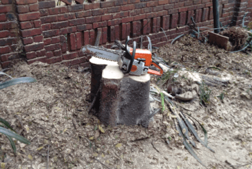 Stump Grinding